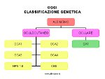 albinismo classificazione genetica