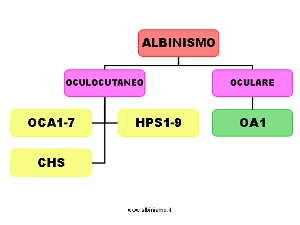 Classificazione Albinismo - 2014 -