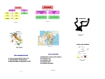 L'albinismo attraverso le immagini