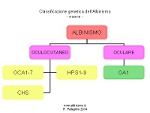 Albinismo: classificazione molecolare o genetica