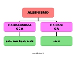 Albinismo immagine: classificazione dell'albinismo