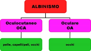 Schema: forme di albinismo