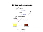 Albinismo schema: sintesi melanina