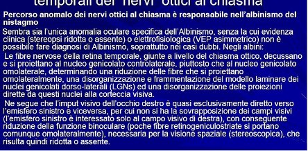 testo scientifico copiato dalla rete