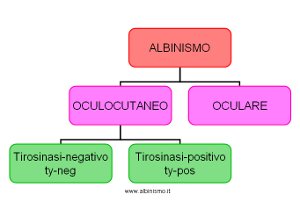 classificazione albinismo - anni 60 -