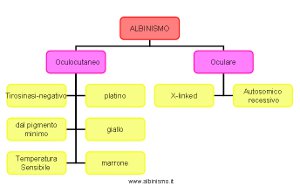 Classificazione Albinismo - anni 80 -