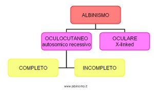 Classificazione Albinismo - inizi 900 II -