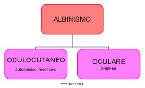 Classificazione Albinismo - inizi 900 -