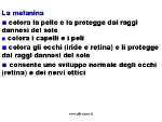 funzioni della melanina nella pelle e negli occhi