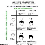 Albinismo Oculocutaneo: schema eredità