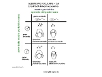 schema eredità recessiva X-linked con madre portatrice sana