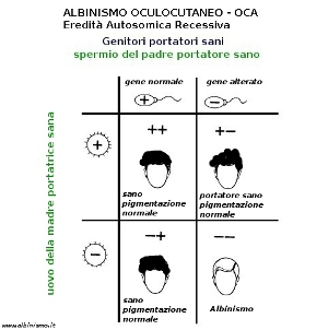 Schema: eredità albinismo oculocutaneo