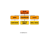 schema: sede melanociti