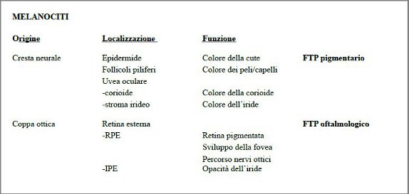 origine, localizzazione e funzione dei melanociti